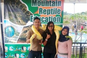 Reptile Education, Wahana Baru The Mountain